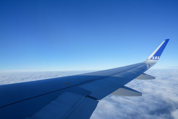 DSC00152.jpg