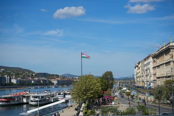 DSC00328.jpg