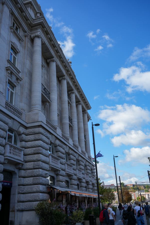 DSC00389.jpg