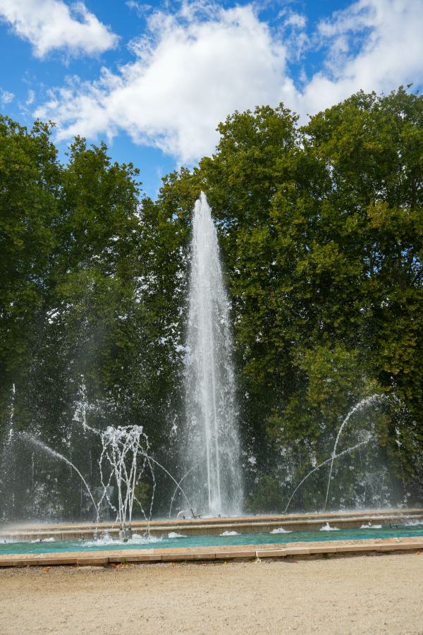 DSC00732.jpg