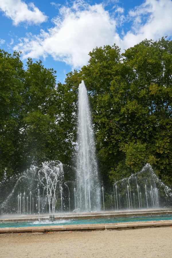 DSC00734.jpg