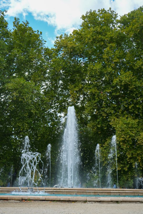 DSC00735.jpg