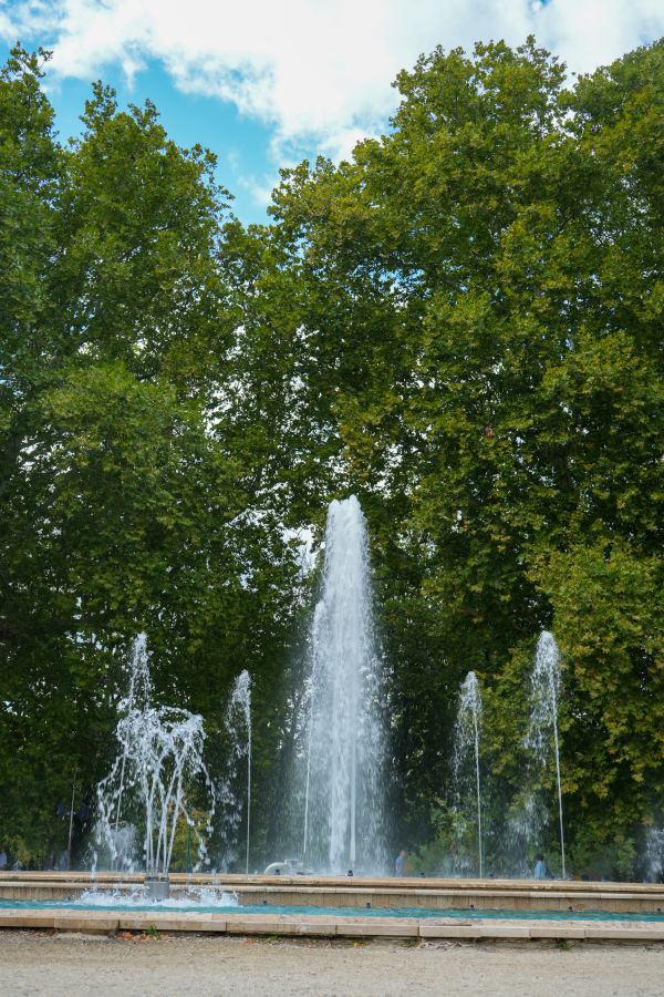 DSC00736.jpg