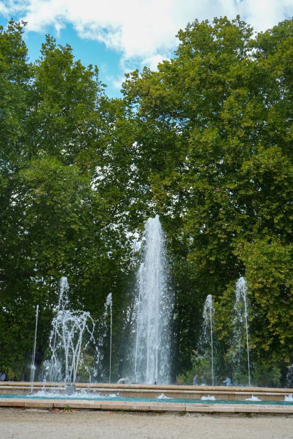 DSC00737.jpg