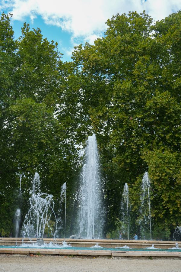 DSC00738.jpg