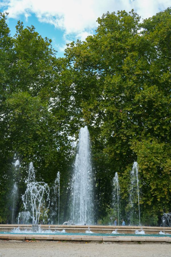 DSC00739.jpg