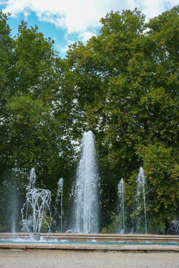 DSC00740.jpg